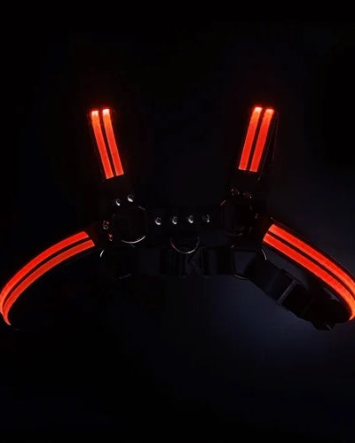 Rave Dimming Light Harness