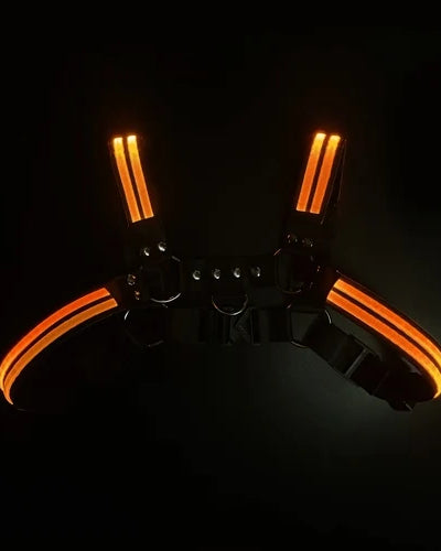 Rave Dimming Light Harness