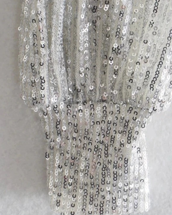 Grey Silver Long Sleeve Sequin Top Festival outfit Rave wear
