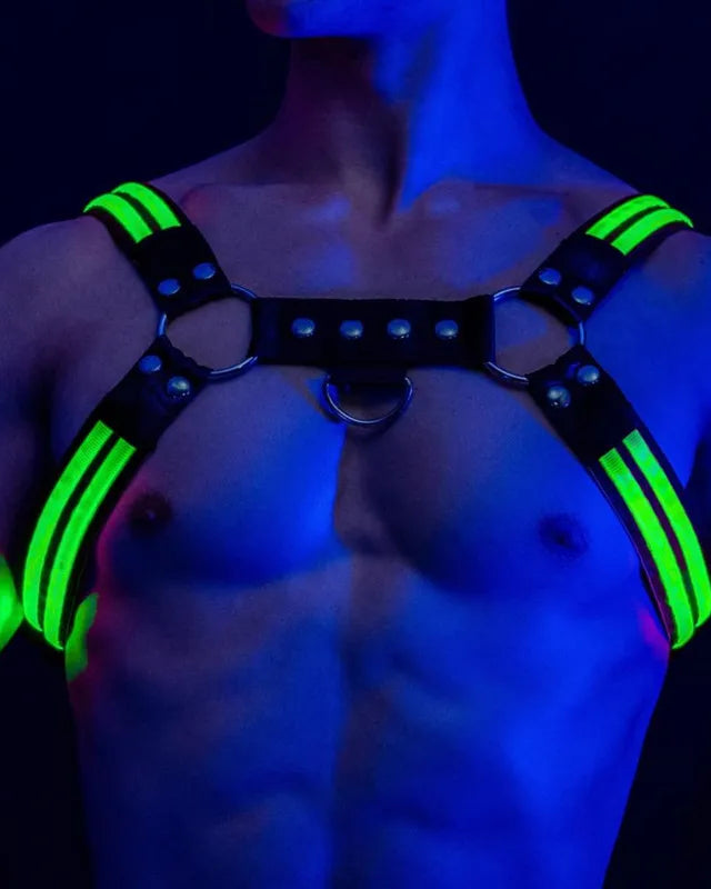 Rave Dimming Light Harness