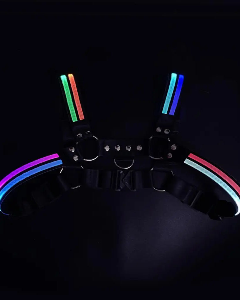 Rave Dimming Light Harness