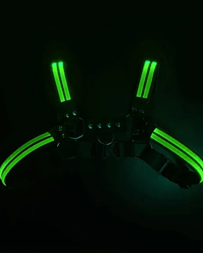 Green Rave Dimming Light Harness