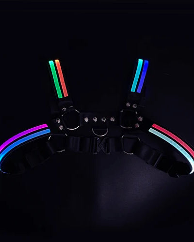 Rainbow Rave Dimming Light Harness