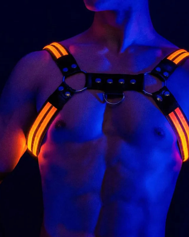 Rave Dimming Light Harness