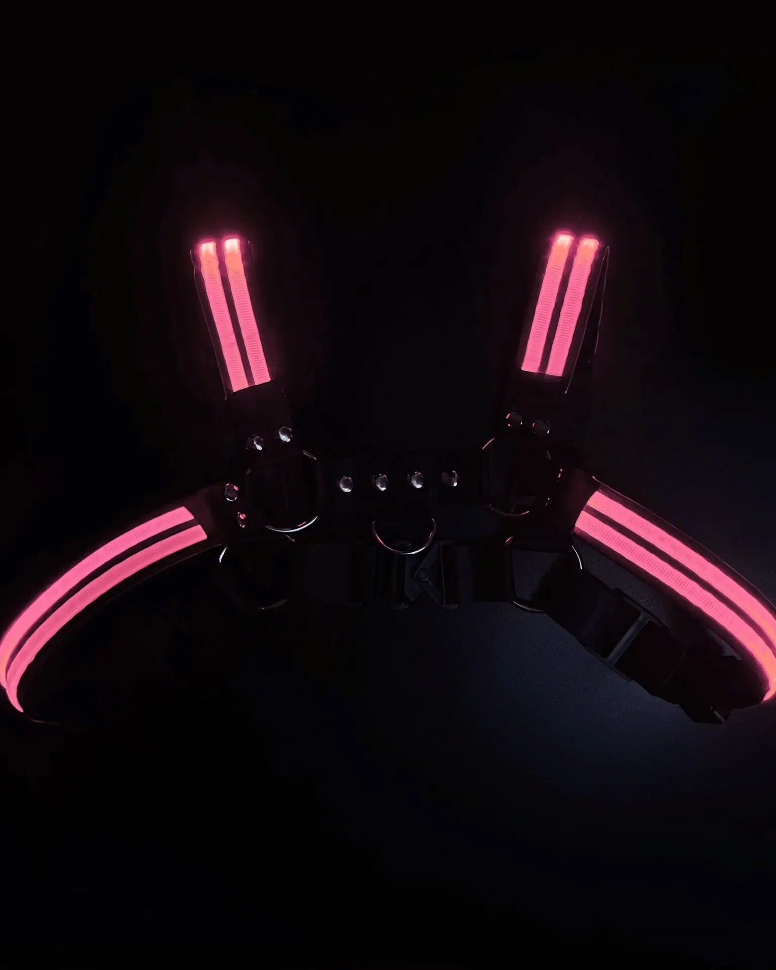 Rave Dimming Light Harness