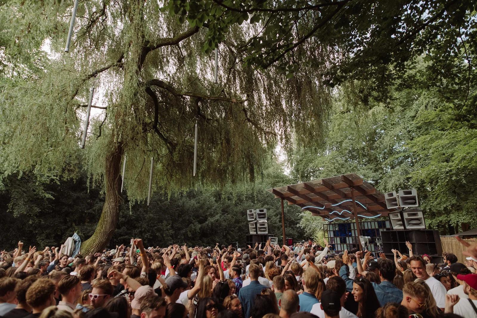 Crowd dancing at an outdoor electronic music festival under a large weeping willow tree and a stage.
