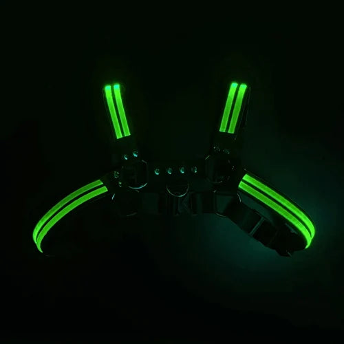 Rave Dimming Light Harness