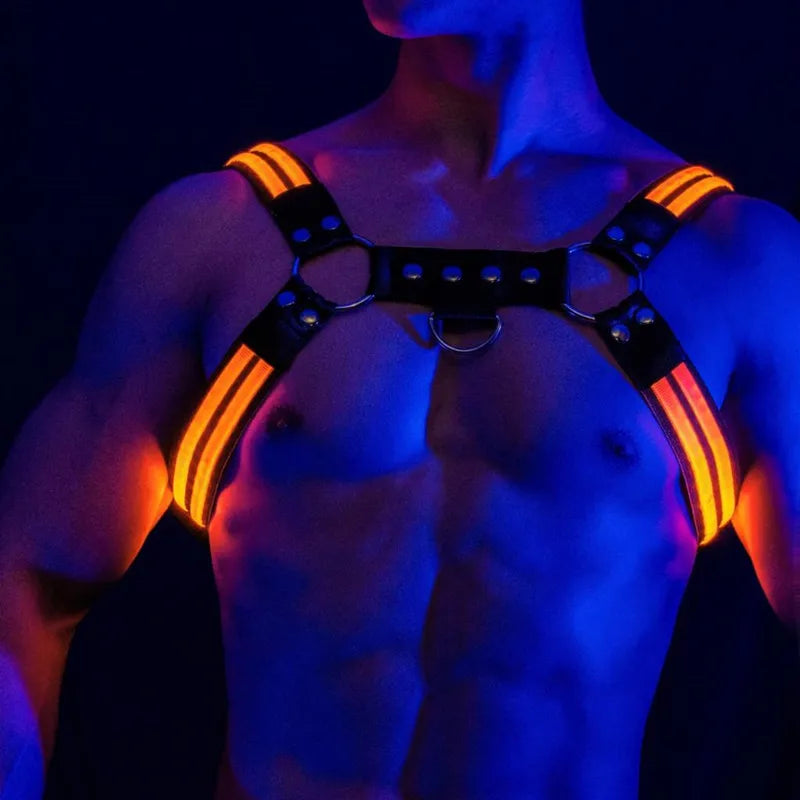 Rave Dimming Light Harness