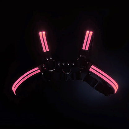 Rave Dimming Light Harness