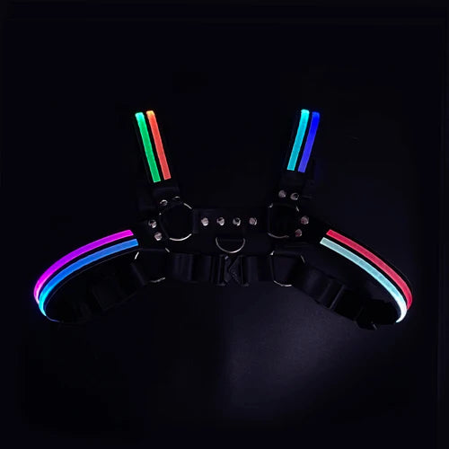 Rainbow Rave Dimming Light Harness